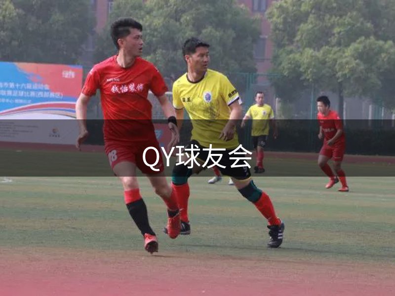网站核心